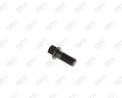 SL2846, SCREW FOR 5877+